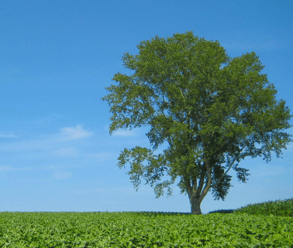 SDGsへの取り組み